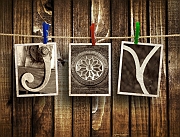 Wall_Art_Alphabet_Photography_Art_ 155